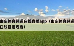 山东体育频道在线直播app（山东体育频道在线直播观看）