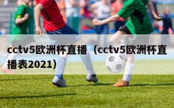 cctv5欧洲杯直播（cctv5欧洲杯直播表2021）