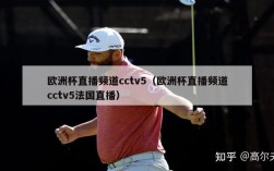 欧洲杯直播频道cctv5（欧洲杯直播频道cctv5法国直播）